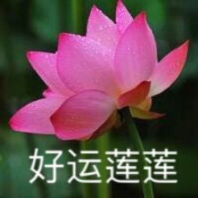 仙魔九变手游